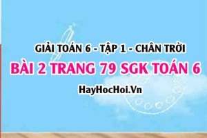 Giải bài 2 trang 79 Toán 6 Tập 1 SGK Chân trời sáng tạo